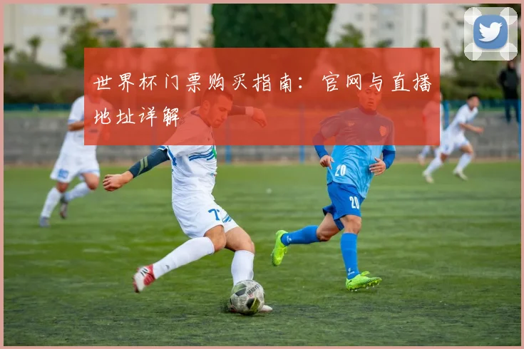 世界杯门票购买指南：官网与直播地址详解