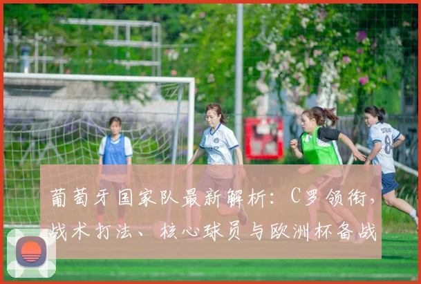 葡萄牙国家队最新解析：C罗领衔，战术打法、核心球员与欧洲杯备战动态全览